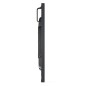 Sharp P506, 50" P-Series LFD, UHD